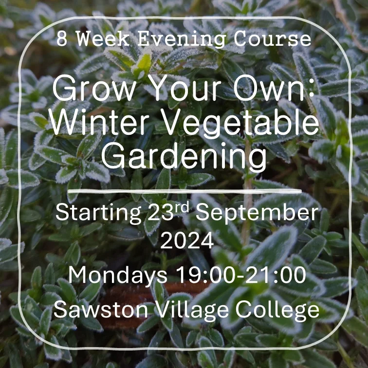 Protected: Online course material for in-person learners – Grow Your Own: Winter Vegetable Gardening (Autumn Term 2024)