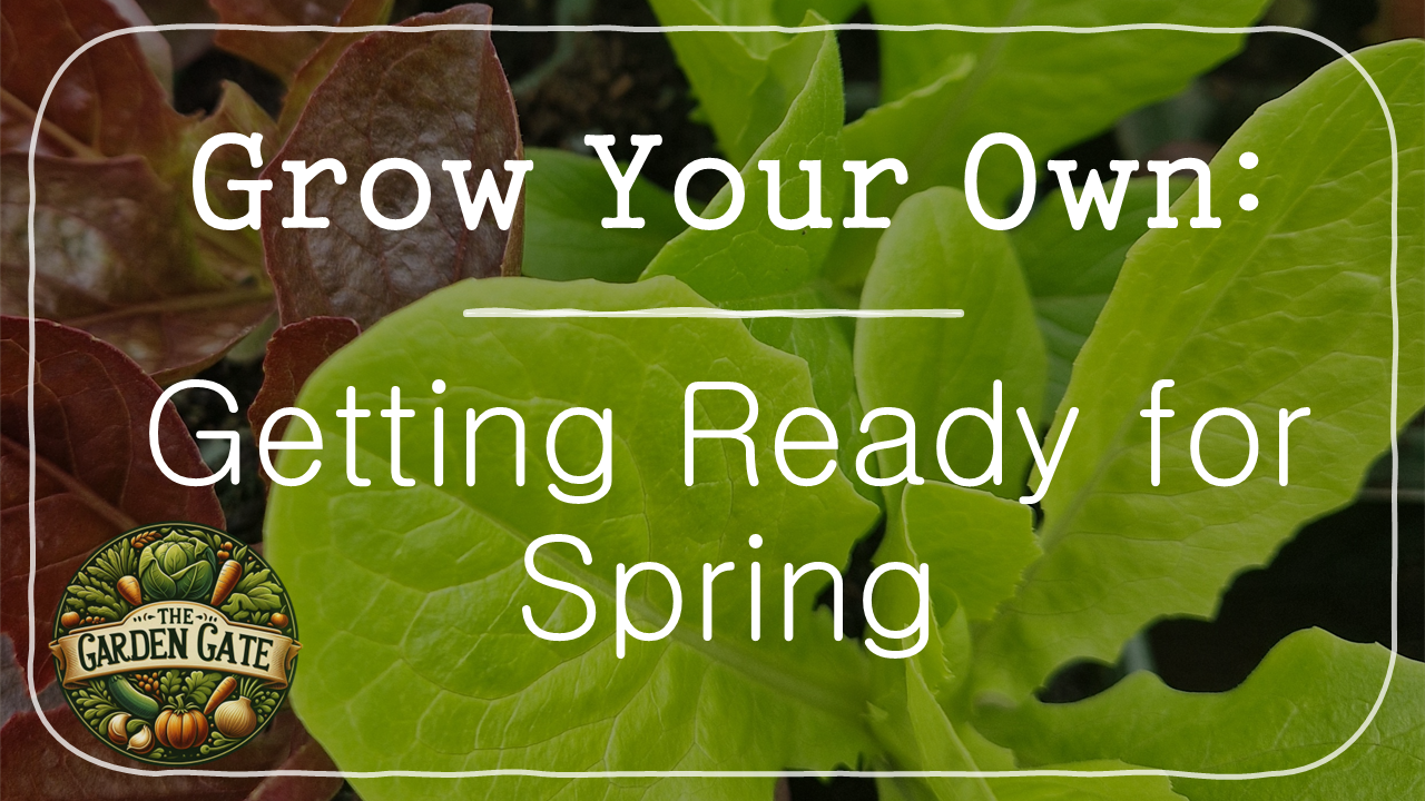 Protected: Grow Your Own: Getting Ready for Spring